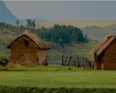 馬達(dá)加斯加